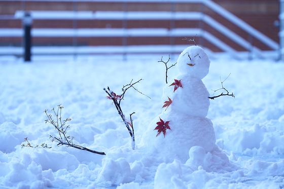 가톨릭대학교 캠퍼스 겨울 풍경☃️💙