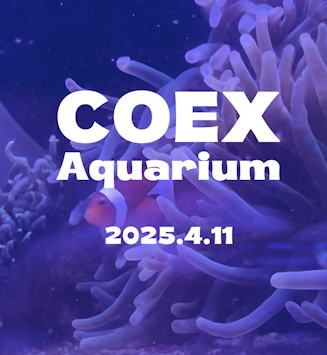 🎥 2025 봄학기 정규과정 반별영상 🎉